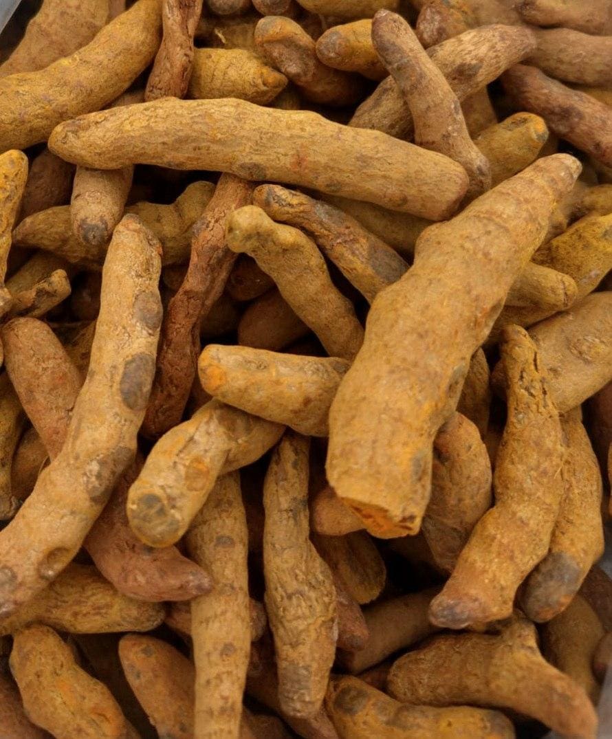 Turmeric and ginger rhizomes prepared for export