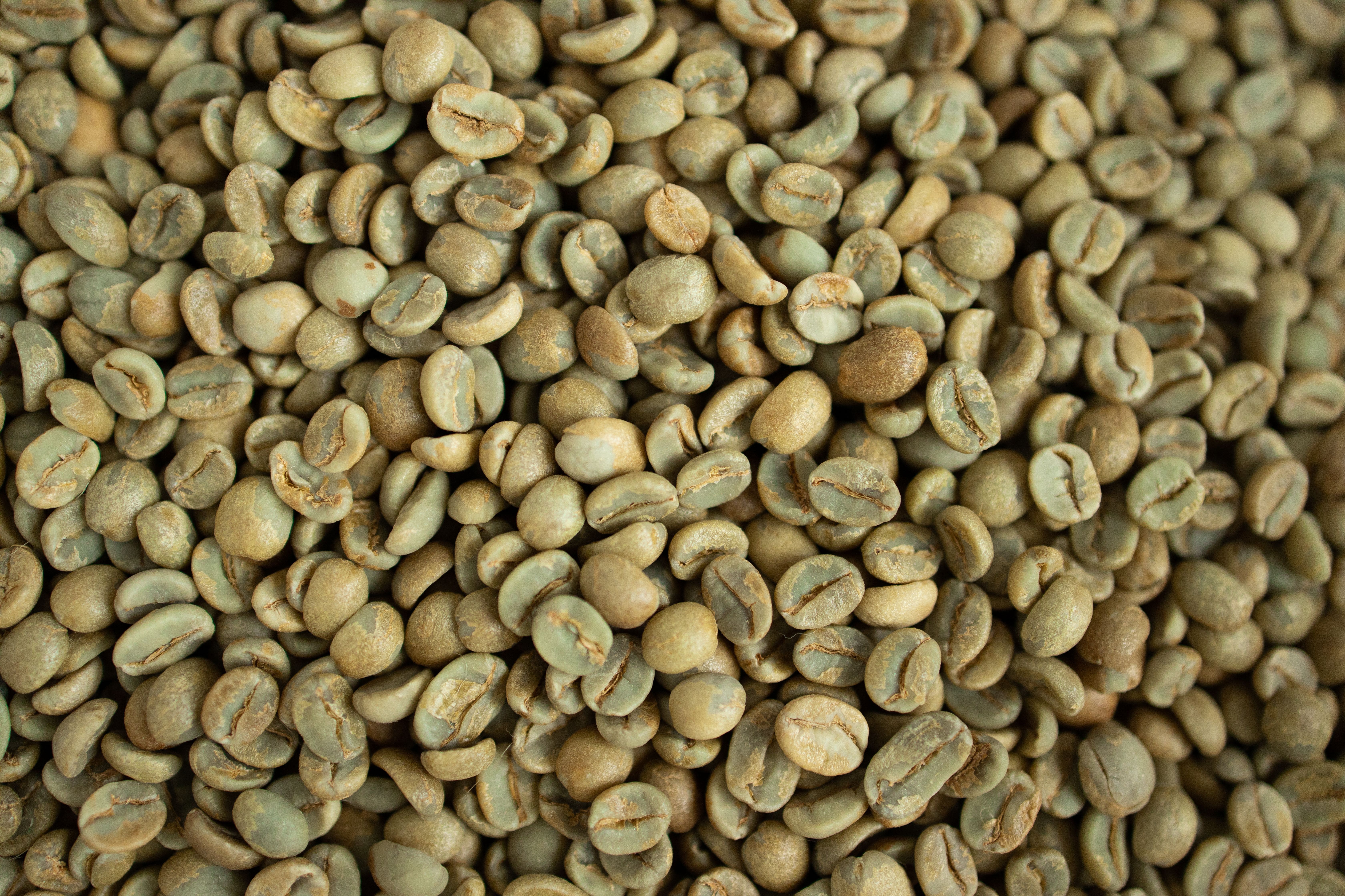 Green Arabica coffee beans, spices and natural gum resin