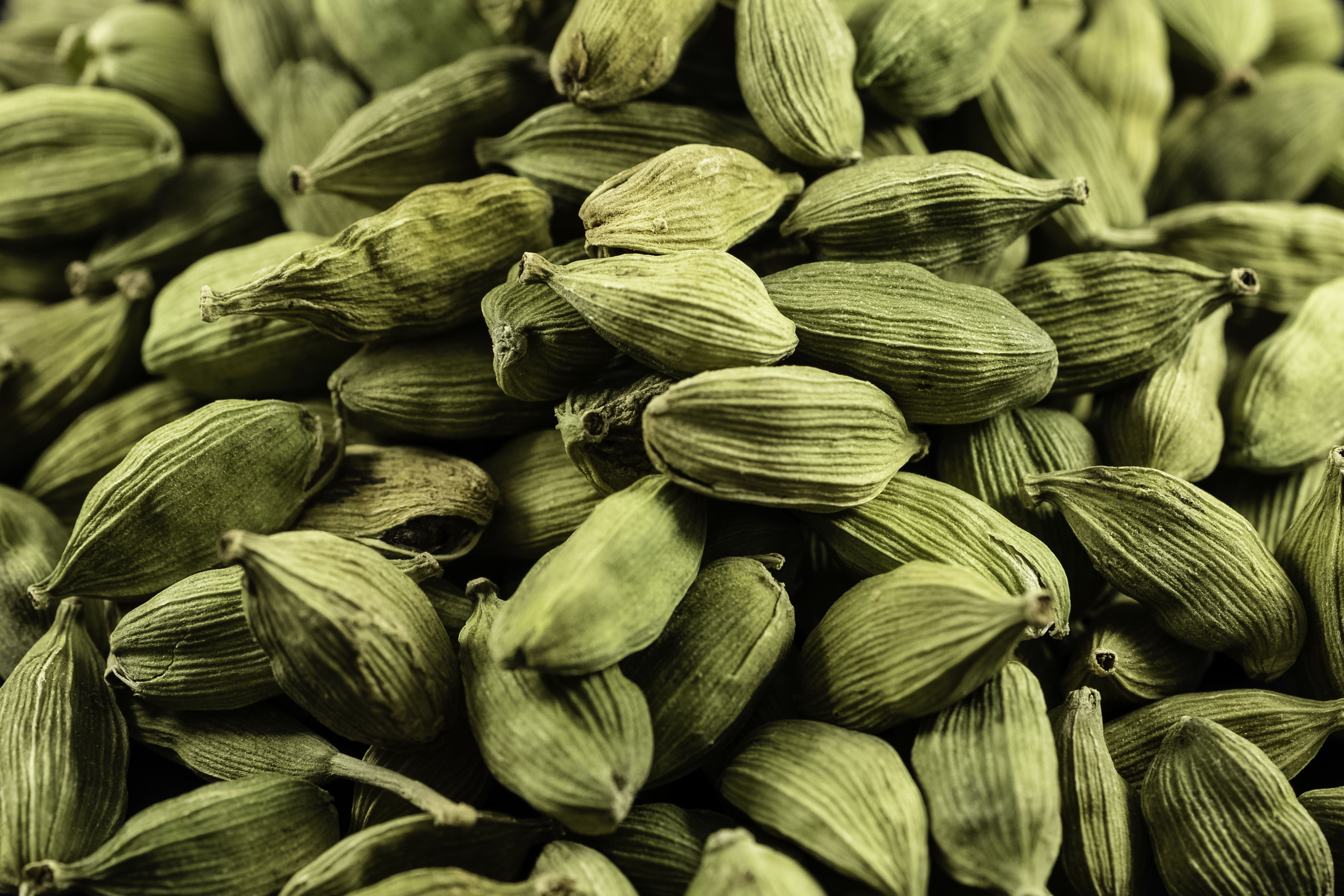 Korarima pods, Ethiopian cardamom, after drying