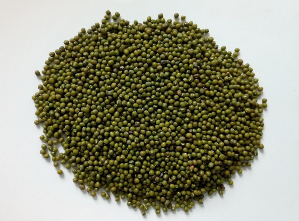 Green mung beans after colour sorting
