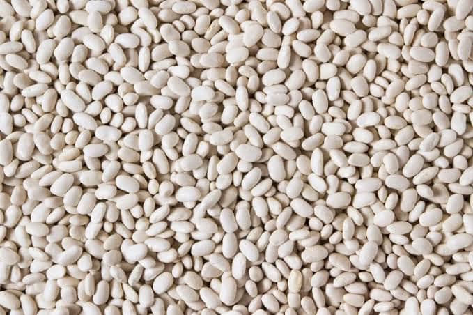 White pea beans bagged for the canning trade