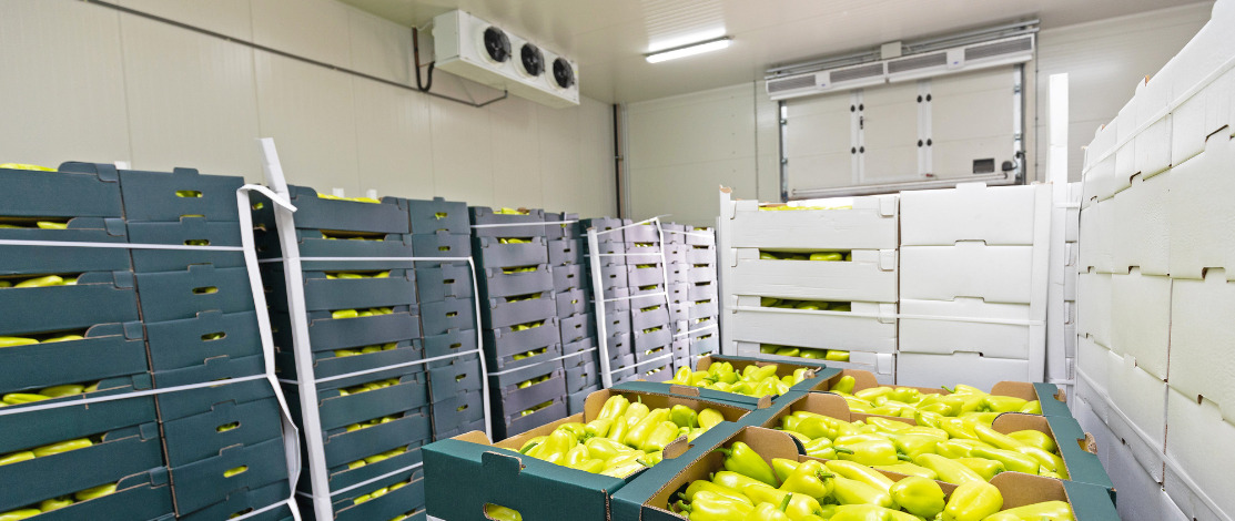 Chilled halal carcass cuts in an export abattoir cold room